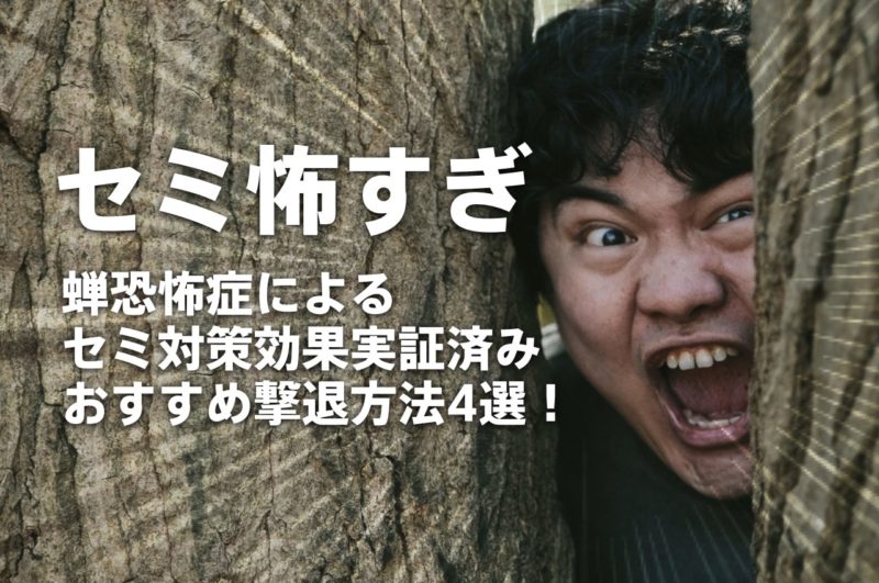 蝉恐怖症によるセミ対策方法！効果実証済みおすすめ撃退方法4選！〜こっちに飛んで来ないで〜（蝉画像なし） 虫無理ドットコム